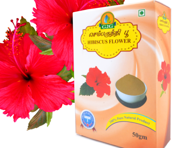 Hibiscus Flower Translation In Tamil Best Flower Site