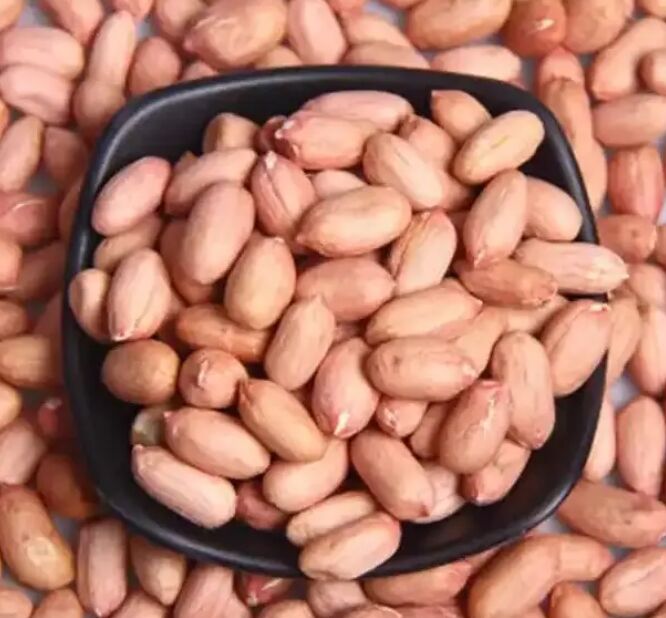 Brown PEC Peanuts Bold Groundnut Kernels Size 30 40 50 60 Length