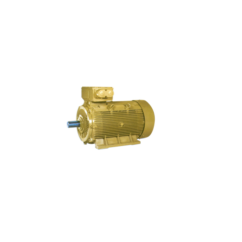 TEFC Squirrel Cage Induction Motors At Best Price In Ahmedabad