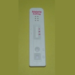 Malaria PF Antigen Card Test