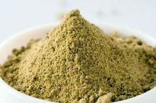 Moringa Seed Oil Extract Powder