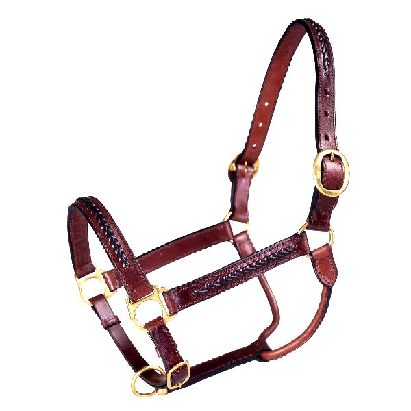 Leather Halter Brass Fittings