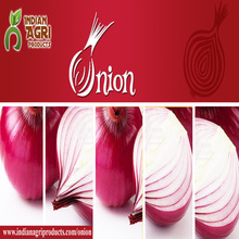 Red onion, Style : Fresh