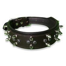 Spike Dog Collar