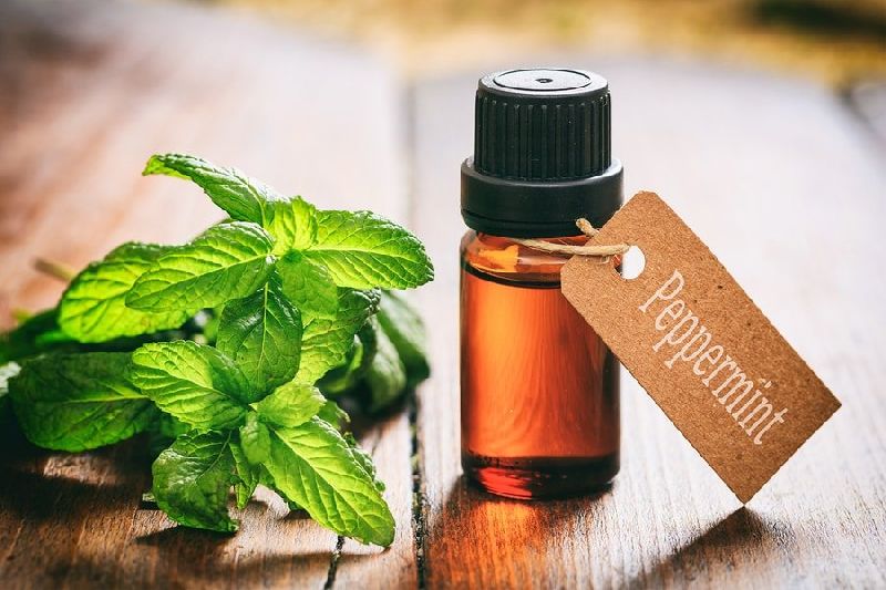 Peppermint Oil Ex Mentha Piperita (BP/EP/USP), for Infections, Stomach Issue, Feature : Good Quality