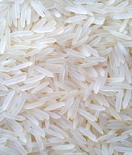 pusa golden rice