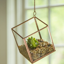 Glass terrarium, for Home Decoratio