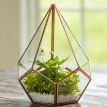 Glass terrarium geometric, for Home Decoration