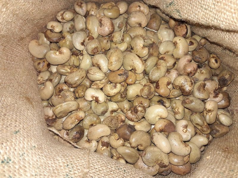 Raw Cashews