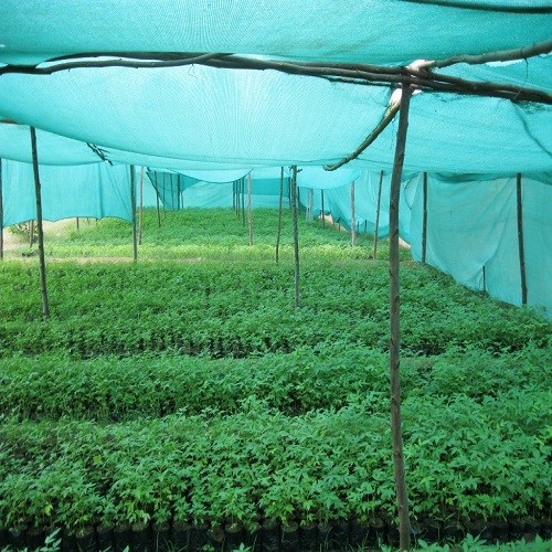 Agricultural shade net