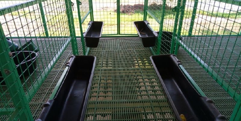 PP Floor Elevated Goat Shed Construction Services At Best Price In 
