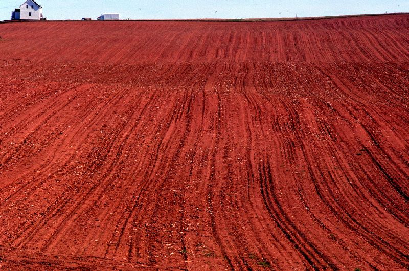 red soil