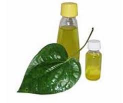 Betel Leaf Oil, for Aromatic, Packaging Size : 250ml, 500ml
