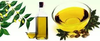 Neem Seed Oil, Variety : Unfiltered