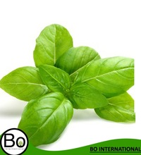 Basil Organic Essential Oil, Purity : 100 % Pure