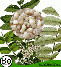 Frankincense Essential Oil