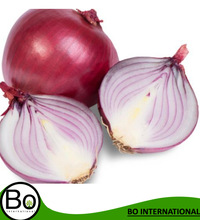 Onion Essential Oil, Purity : 100%pure