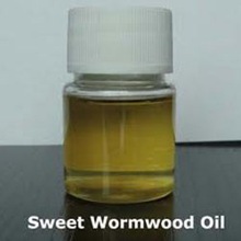 Worm Wood Essential Oil