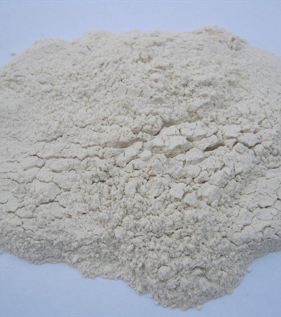 Dehydrated Red & White Onion Powder