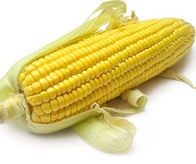 Yellow corn, Style : Fresh