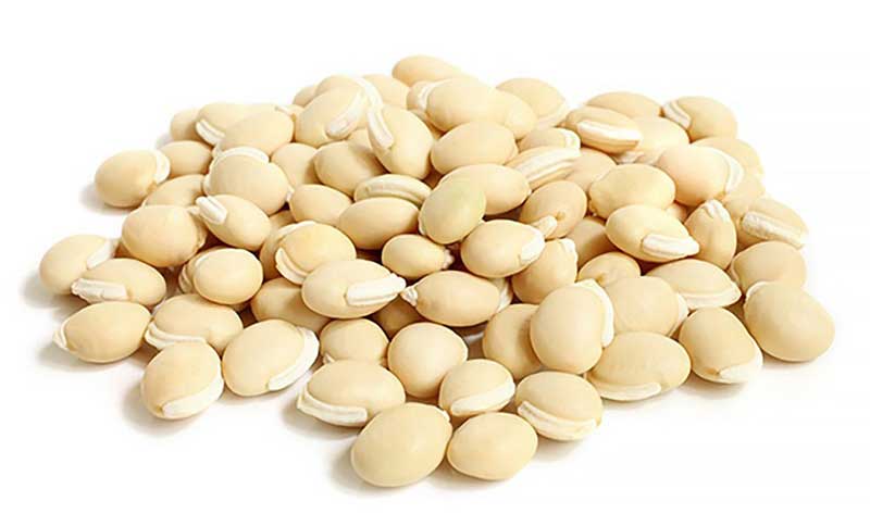 field bean
