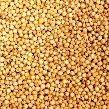 High Quality Red Sorghum