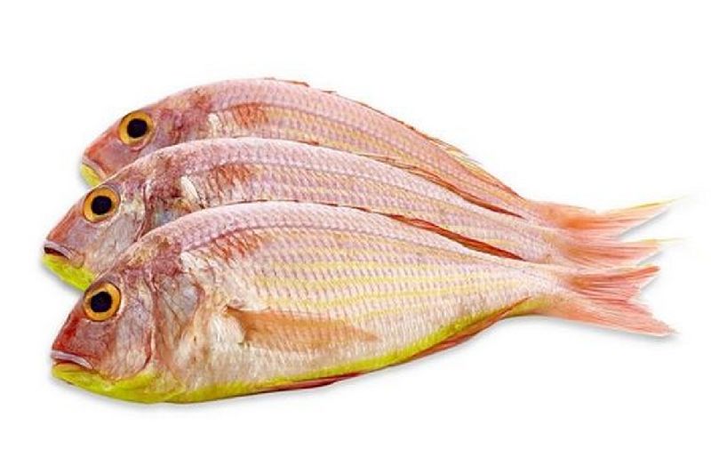 Fresh Pink Perch Fish