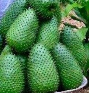 Soursop Fruit