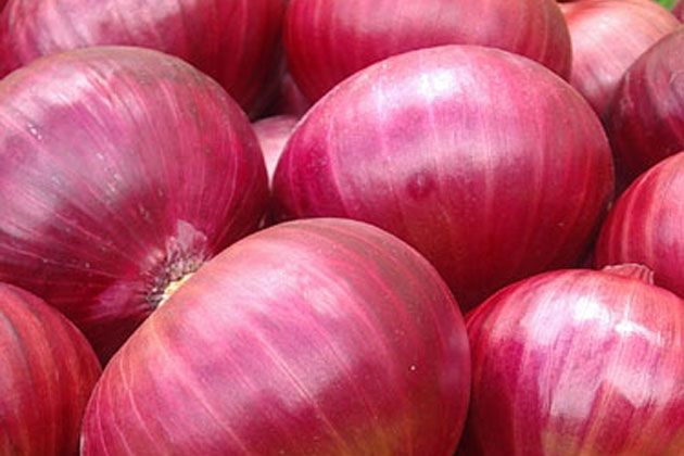 Organic fresh onion, Shelf Life : 15days