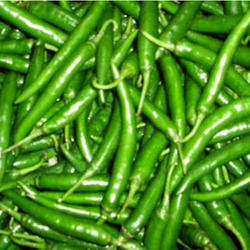 Fresh Green Chili, for Cooking, Souce, Feature : Freshness, High Nutrition Value