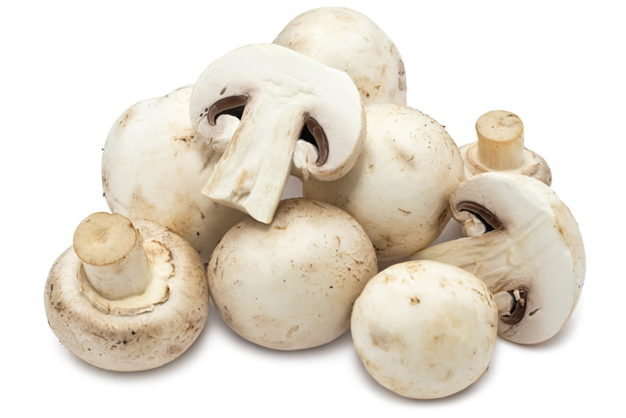 Fresh Mushrooms, for Cooking, Packaging Type : Plastic Bag, Polythene Bag