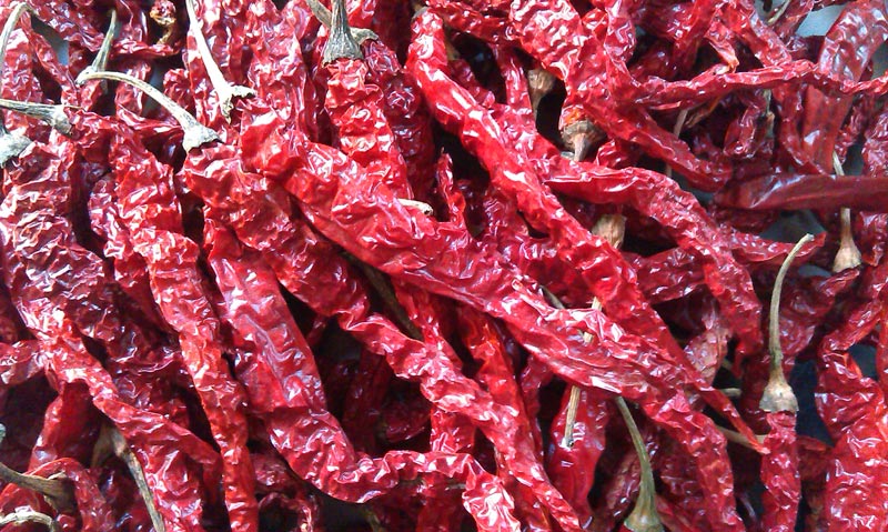 Common Dried Red Chilli, Packaging Type : Gunny Bags, Jute Bag