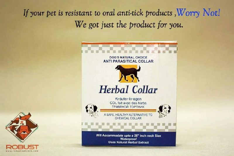 Robust herbal collar for dogs