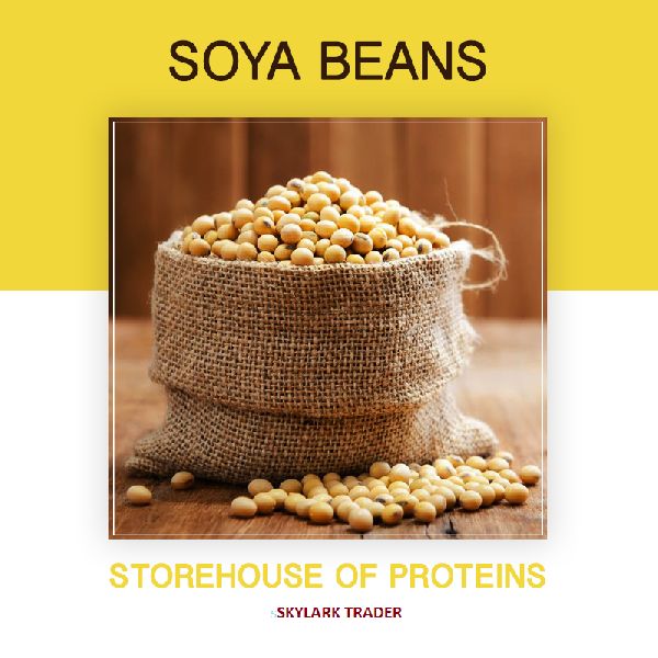 soya-bean-manufacturer-in-chennai-tamil-nadu-india-by-arul-agro-company