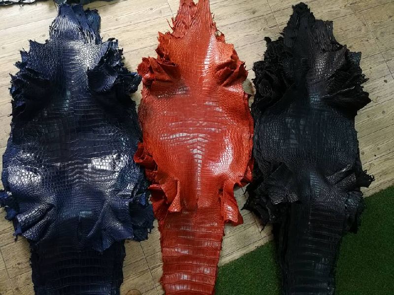 Crocodile Skins