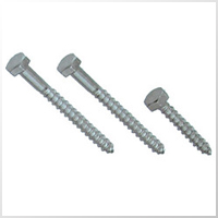 Lag Screw