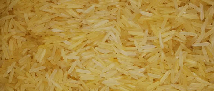 Pusa golden rice