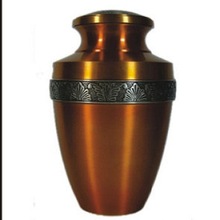 ashes double urns