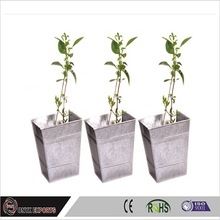 Stainless Steel Plant Pot
