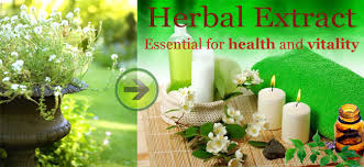 Natural Herb Extract