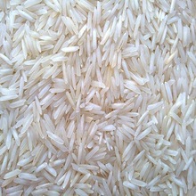 Kesari Exports Common Basmati WHITE RICE, Style : Dried