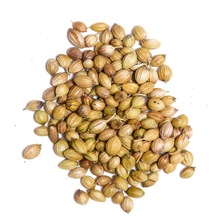 Coriander Seed Oil, Certification : CE, EEC, FDA, GMP, MSDS, HACCP, WHO, HALAL, ISO