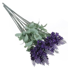 Leaves Organic Lavender Oil, Form : Form