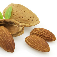Organic Sweet Almond Carrier Oil, Supply Type : OEM/ODM