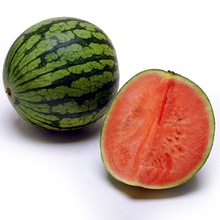 Organic Watermelon Carrier Oil, Supply Type : OEM/ODM