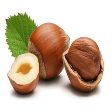 TaHazelnut Oil, Certification : CE, EEC, FDA, GMP, MSDS, HACCP, WHO, HALAL, ISO