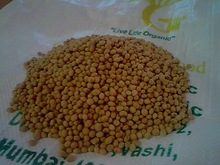 Organic Soybean