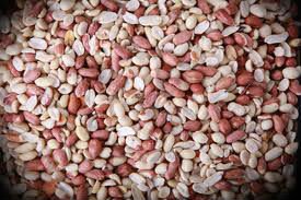 Kishan cotton Raw peanut split, Certification : SGS OR GEO-CHEM