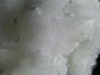 POLYESTER STAPLE FIBER HOLLOW CONJUGATED SILICON, Feature : Anti-Pilling, Anti-Static