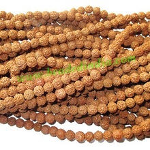 Beaded India Rudraksha Medium Chikna Beads